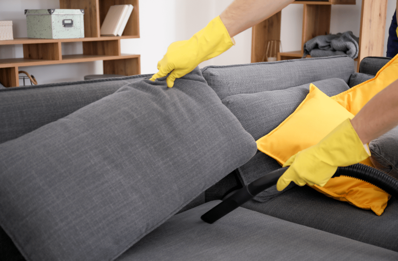 Sofa Cleaning services