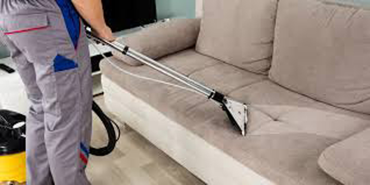 Cleaning sofa